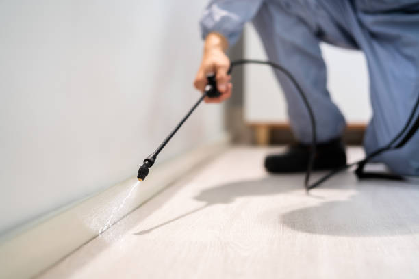 Licensed Cockroach Control service in Rochelle, IL - Nex Pest Control