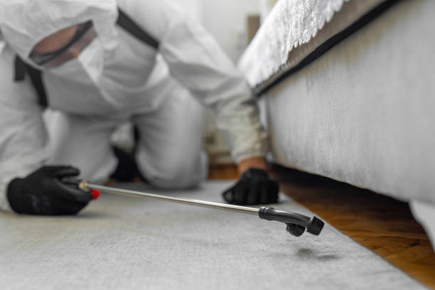 Professional Cockroach Control technician working in Rochelle, IL