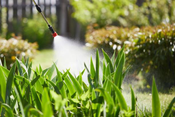 24/7 Emergency Cockroach Control experts in Rochelle, IL