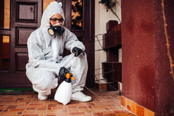 Reliable Cockroach Control contractor in Rochelle, IL by Nex Pest Control