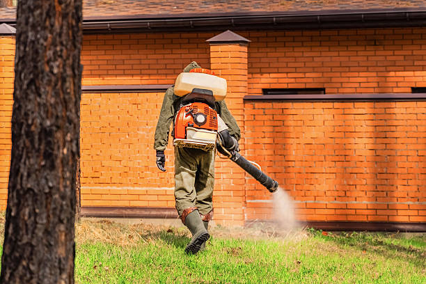 Top rated local Cockroach Control specialists in Rochelle, IL